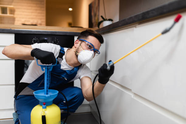 Best Emergency Pest Control  in Riverdale, CA