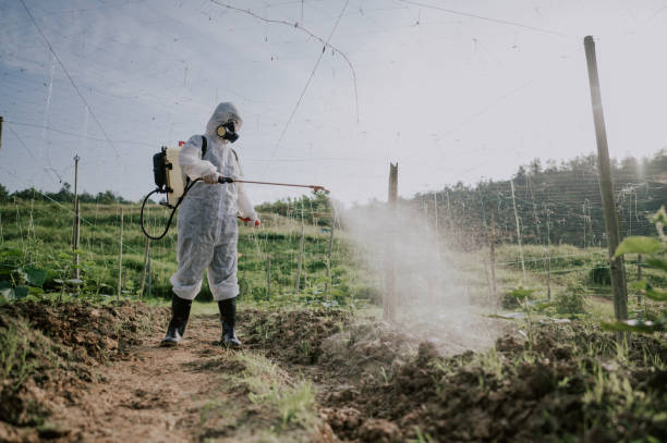 Best Ant Control Services  in Riverdale, CA