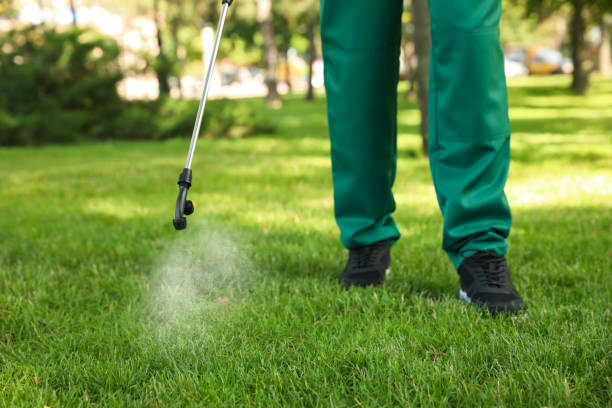 Professional Pest Control in Riverdale, CA