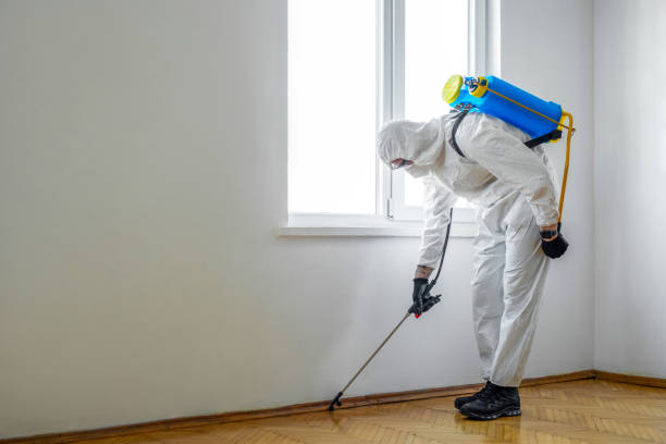 Best Best Pest Control Companies  in Riverdale, CA