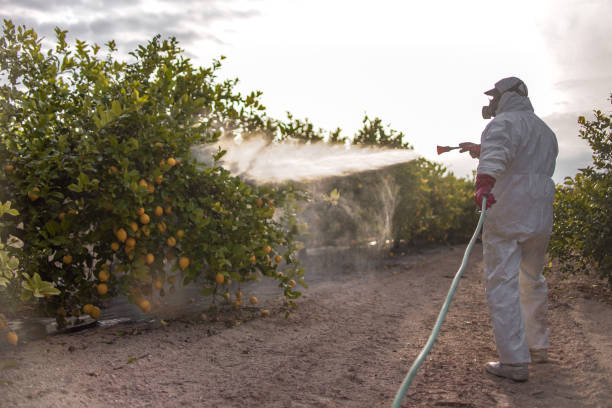 Best Cockroach Control Services  in Riverdale, CA
