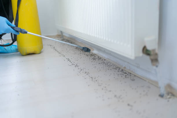Pest Prevention Services in Riverdale, CA