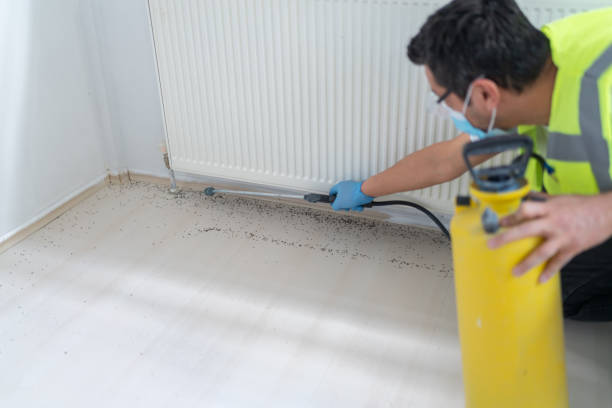 Best Affordable Exterminators  in Riverdale, CA
